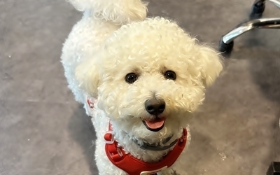 이미지명