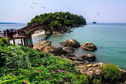 배 타고 떠나는 안산 대부도 여행