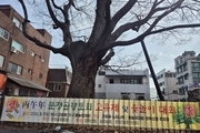 문정골향토회, 병오년 고유제 및 윷놀이대회 개최