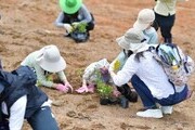 영덕, 자연과 사람이 함께 피어난다