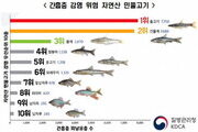 자연산 민물고기 회로 먹으면 큰일!