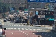 늑구 사태로 본 ‘가짜 동물 이미지’ 경계령