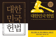 내란 사태 후 헌법 도서 1160% 증가 