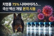 ‘차기 팬데믹 후보’ 니파바이러스…한국, 백신 개발 착수