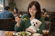 반려동물 식당 이용 쉬워진다…기준 완화