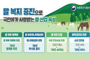 말 학대 막고 의무 등록제·보호센터 만든다