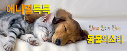 이미지명